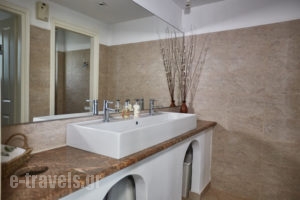 Aelia_best deals_Apartment_Cyclades Islands_Andros_Agios Petros