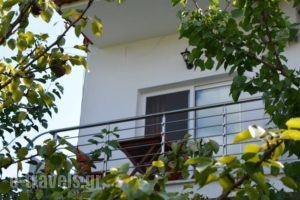 Androni_accommodation_in_Hotel_Aegean Islands_Thasos_Potos