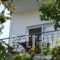 Androni_accommodation_in_Hotel_Aegean Islands_Thasos_Potos