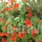 George Rooms_best deals_Room_Cyclades Islands_Syros_Galissas