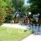 Oceanus Apartments_travel_packages_in_Macedonia_Halkidiki_Ormos Panagias