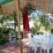 Oceanus Apartments_best prices_in_Apartment_Macedonia_Halkidiki_Ormos Panagias