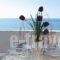 Eva Rooms_accommodation_in_Room_Crete_Lasithi_Ierapetra