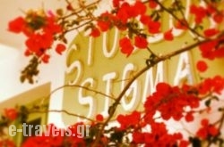 Sigma Studios on The Beach_s __1