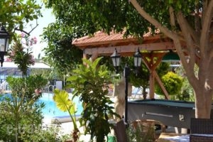 Havania Apartments_best prices_in_Apartment_Crete_Lasithi_Ammoudara