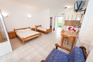 Kastraki Studios_best prices_in_Room_Peloponesse_Messinia_Stoupa