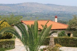 Aspalathos Villas_best prices_in_Villa_Crete_Chania_Vryses Apokoronas