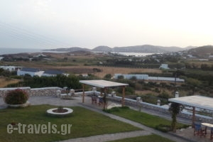 Mirsini Studios_accommodation_in_Apartment_Cyclades Islands_Paros_Paros Chora