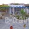 Bungalows Cosmarie_accommodation_in_Hotel_Cyclades Islands_Paros_Paros Chora