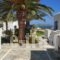 Bungalows Cosmarie_best prices_in_Hotel_Cyclades Islands_Paros_Paros Chora