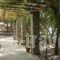 Hotel Manto_travel_packages_in_Cyclades Islands_Paros_Naousa