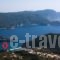 Napoleon Apartments_best deals_Apartment_Ionian Islands_Corfu_Palaeokastritsa