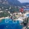 Napoleon Apartments_best prices_in_Apartment_Ionian Islands_Corfu_Palaeokastritsa