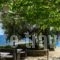 Cardamili Beach Hotel_lowest prices_in_Hotel_Thessaly_Magnesia_Pilio Area