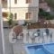 Medusa Hotel Apartments_best prices_in_Apartment_Crete_Chania_Platanias
