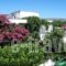 Rosmari Hotel_holidays_in_Hotel_Dodekanessos Islands_Rhodes_Rhodes Rest Areas