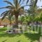 Othonas Apartments_holidays_in_Apartment_Ionian Islands_Corfu_Corfu Rest Areas