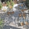 The Delfini_best deals_Hotel_Piraeus Islands - Trizonia_Aigina_Agia Marina