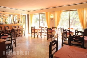 The Delfini_holidays_in_Hotel_Piraeus Islands - Trizonia_Aigina_Agia Marina