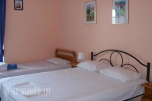Paschalia Apartments_best deals_Apartment_Macedonia_Halkidiki_Psakoudia