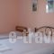 Paschalia Apartments_best deals_Apartment_Macedonia_Halkidiki_Psakoudia