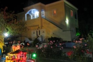 Shine Studios_travel_packages_in_Aegean Islands_Lesvos_Kalloni