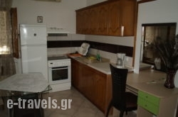 Villa Alexander_s __1
