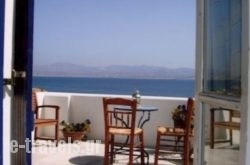 Kohili in Piso Livadi, Paros, Cyclades Islands