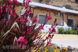 Joanna Studios_travel_packages_in_Crete_Rethymnon_Plakias