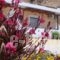 Joanna Studios_travel_packages_in_Crete_Rethymnon_Plakias