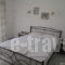 Nick House_best prices_in_Room_Aegean Islands_Lesvos_Plomari