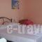 Paschalia Apartments_lowest prices_in_Apartment_Macedonia_Halkidiki_Psakoudia