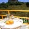 Agathi Studios_best deals_Hotel_Dodekanessos Islands_Rhodes_Rhodes Areas
