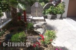 Dimitra's Apartments_s __2