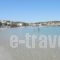 Elena Apartments_best prices_in_Apartment_Crete_Chania_Almyrida