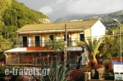 Anemona Studios_s __1