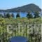 King Studios_best deals_Hotel_Aegean Islands_Thasos_Thasos Chora