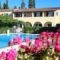 Kalypso Apartments_travel_packages_in_Ionian Islands_Corfu_Kondokali