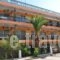 Apartments Dimitra_accommodation_in_Apartment_Macedonia_Halkidiki_Paralia Dionysou