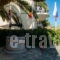 Ionian Studios_holidays_in_Apartment_Ionian Islands_Kefalonia_Argostoli