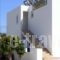 Liofyto Apartments_lowest prices_in_Apartment_Crete_Rethymnon_Aghia Galini