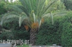 Mountain Vista Resort_s __1