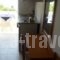 Nikos Rooms_holidays_in_Room_Crete_Chania_Palaeochora