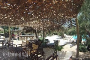 Medusa Resort Suites_best deals_Hotel_Cyclades Islands_Paros_Paros Rest Areas