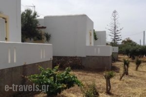 Galaxy Apartments_accommodation_in_Apartment_Cyclades Islands_Antiparos_Antiparos Rest Areas