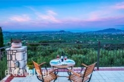 Agrikia Villa_s __1