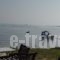 Studios Efi_holidays_in_Hotel_Macedonia_Halkidiki_Chalkidiki Area