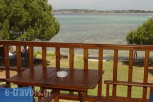 Studios Efi_accommodation_in_Hotel_Macedonia_Halkidiki_Chalkidiki Area
