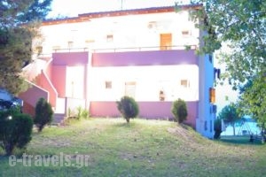 Studios Efi_lowest prices_in_Hotel_Macedonia_Halkidiki_Chalkidiki Area
