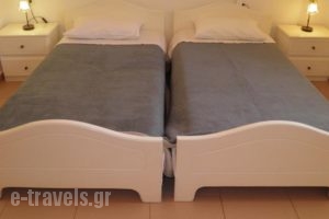 Stathoula's Studios_accommodation_in_Hotel_Ionian Islands_Lefkada_Lefkada's t Areas
